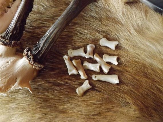 fortune teller who uses bones to predict the future